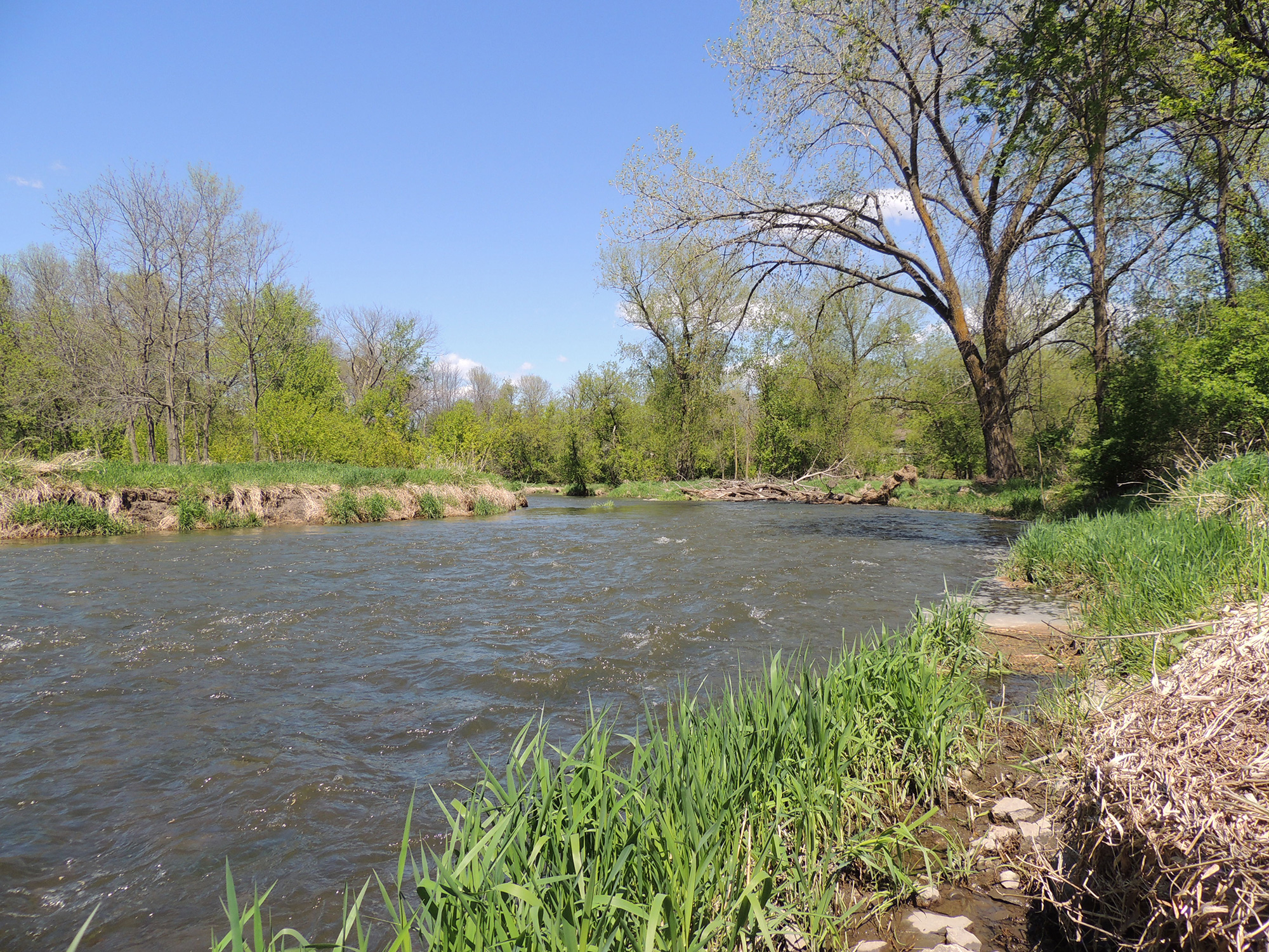 Gallery Turtle Creek Watershed District